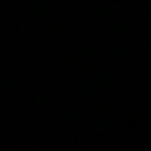 Meet your Posher, Bryson